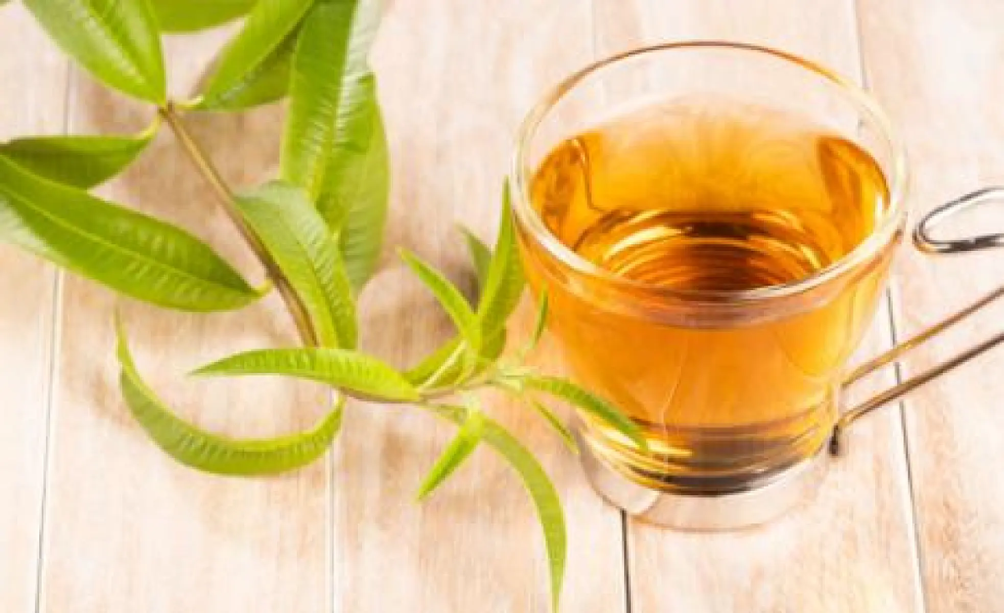 How, and Why, to Grow Lemon Verbena