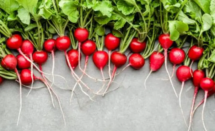 Radishes Are Surprisingly Good for You