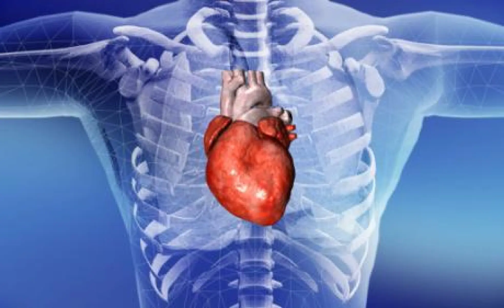Seven Herbs and Supplements for Heart Failure