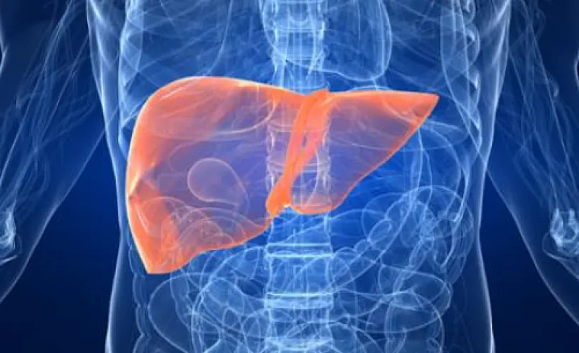 These Five Substances Protect Your Liver