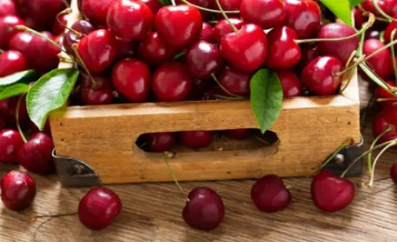 Seven Health Benefits of Sweet Cherries