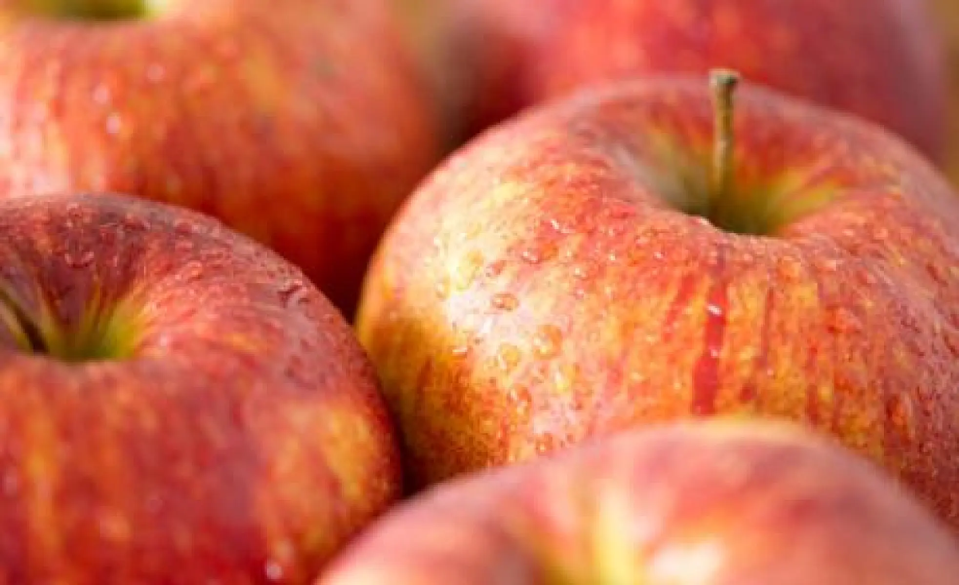 Healthiest Produce That's in Season in September
