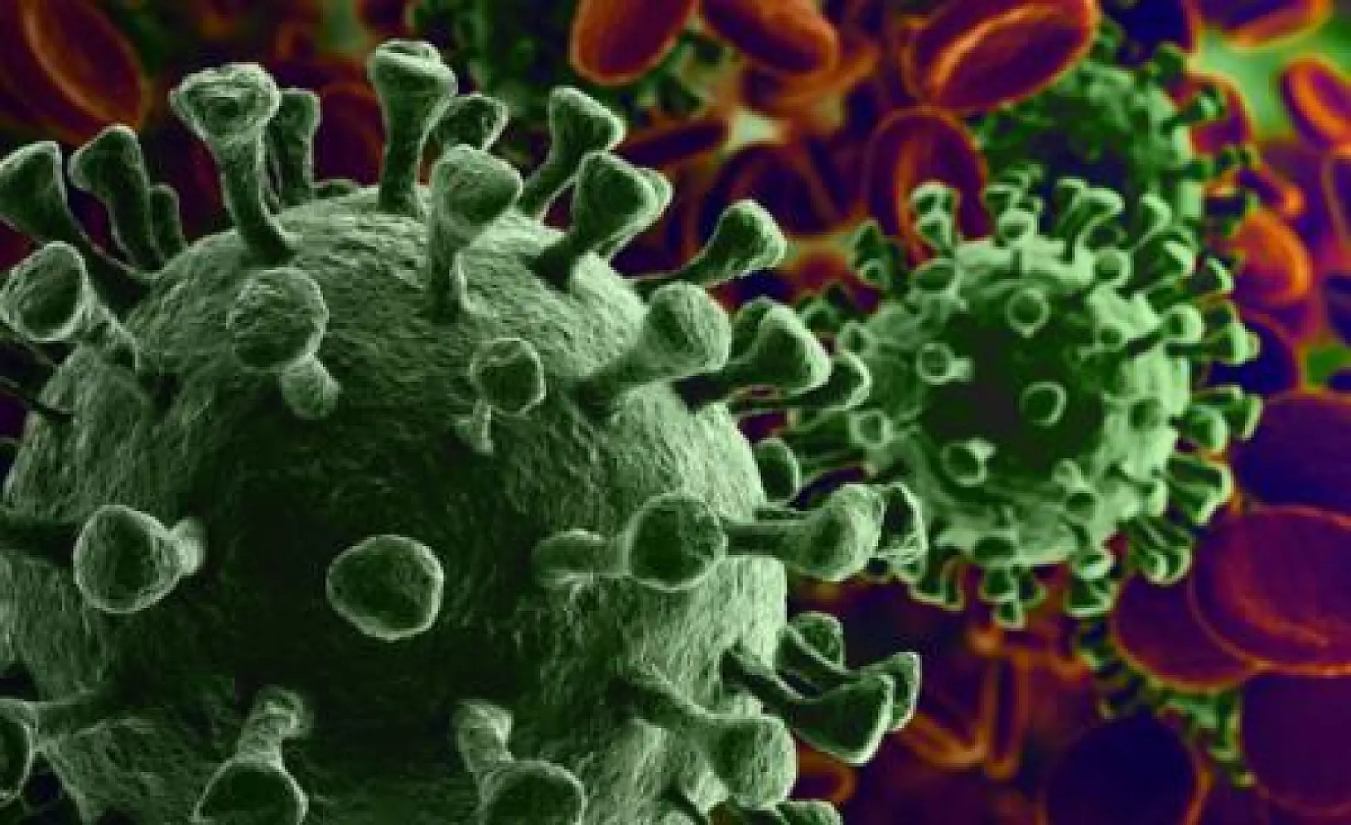 26 of 27 Scientists Who Published Paper Calling COVID Lab Leak Theory a 'Conspiracy' Have Ties to Wuhan Lab