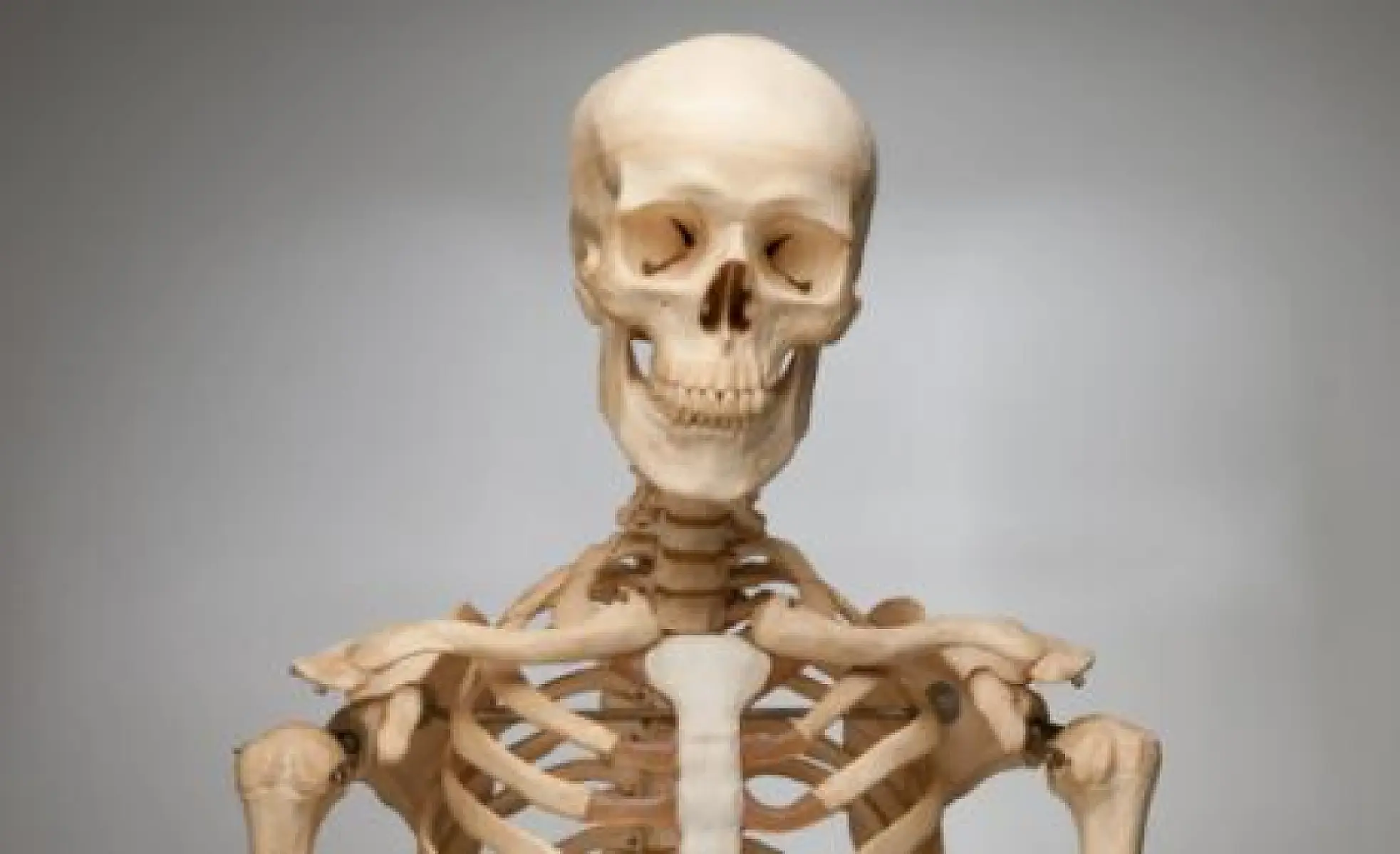 Protect Your Bones With 8 Natural Osteoprotectives