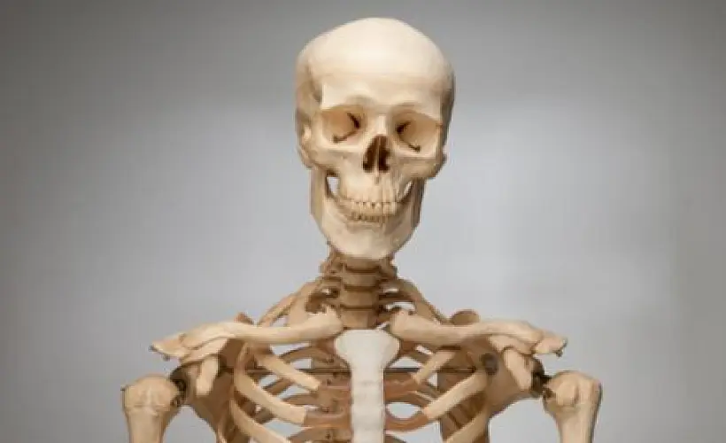 Protect Your Bones With 8 Natural Osteoprotectives
