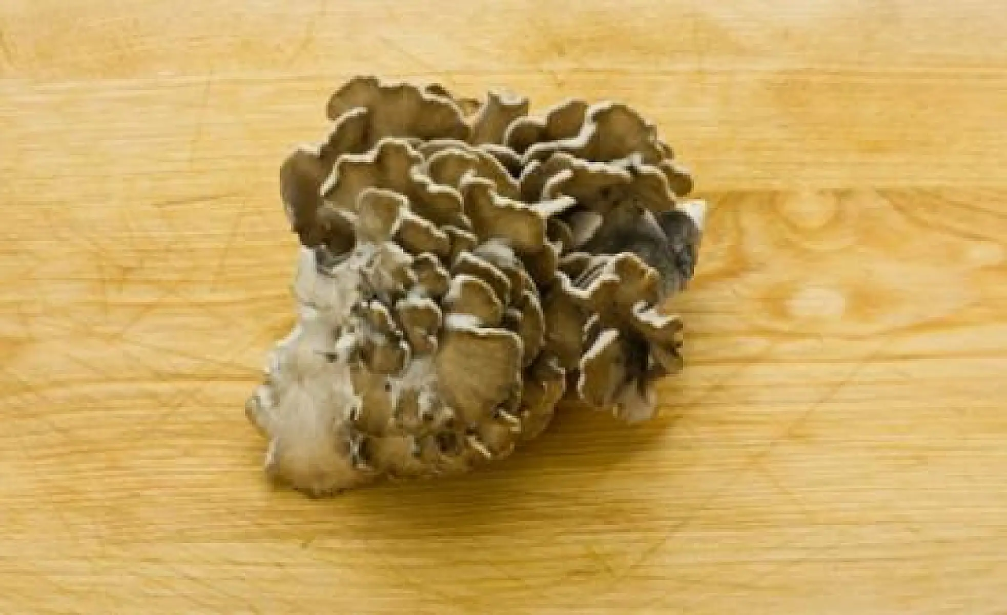 60 Conditions That Respond to Maitake Mushrooms