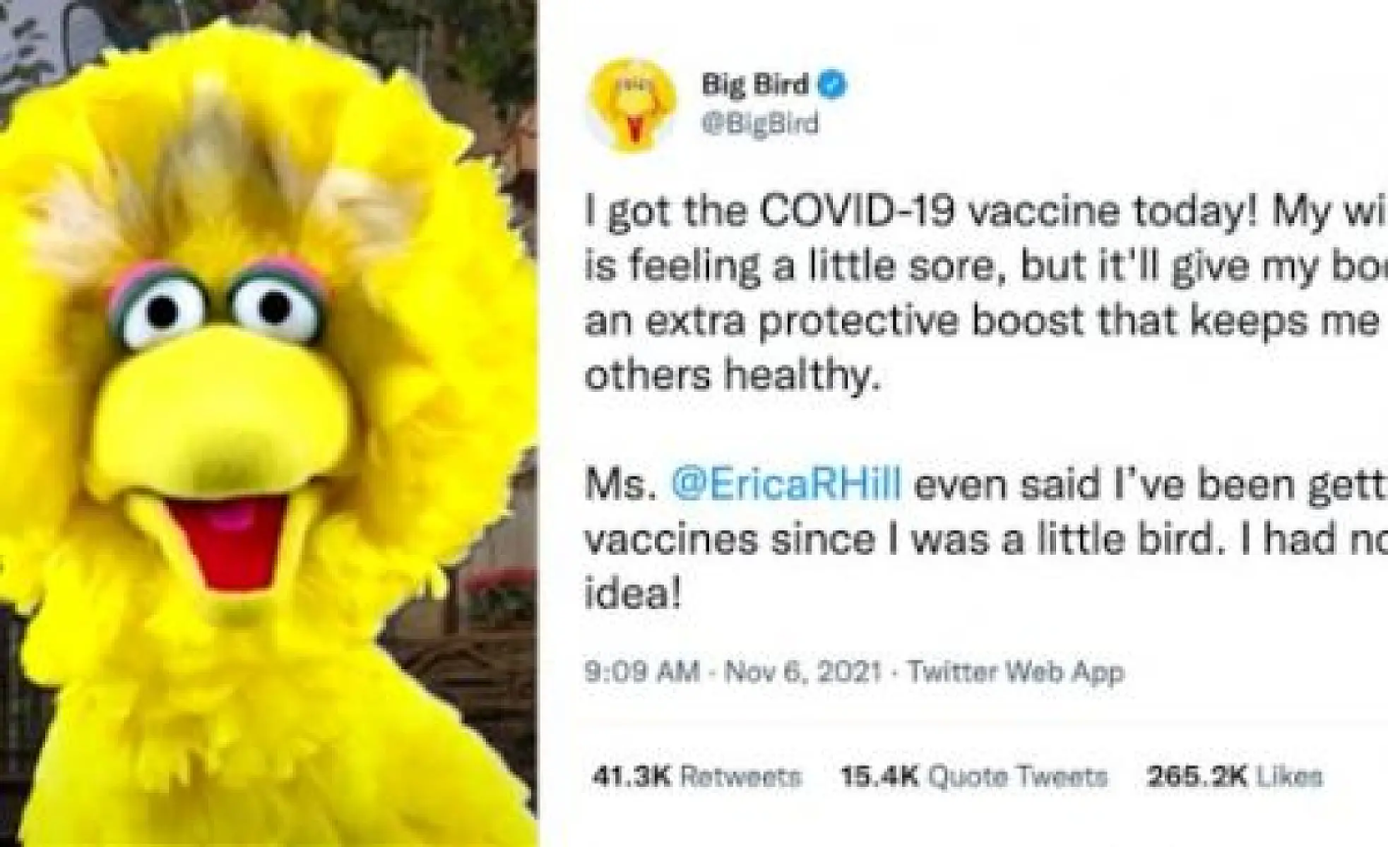 Big Bird, CNN Push Vaccine Propaganda on Kids