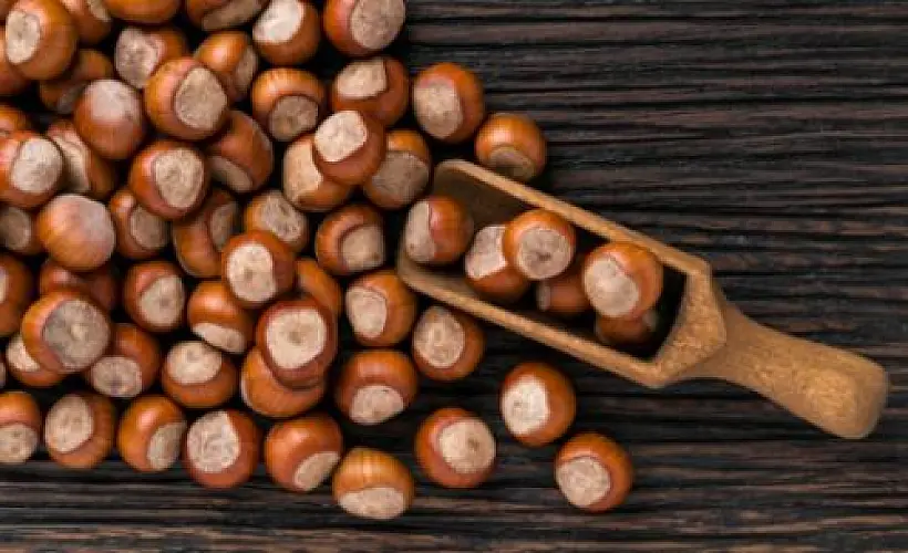 Do You Know the Health Benefits of Hazelnuts?