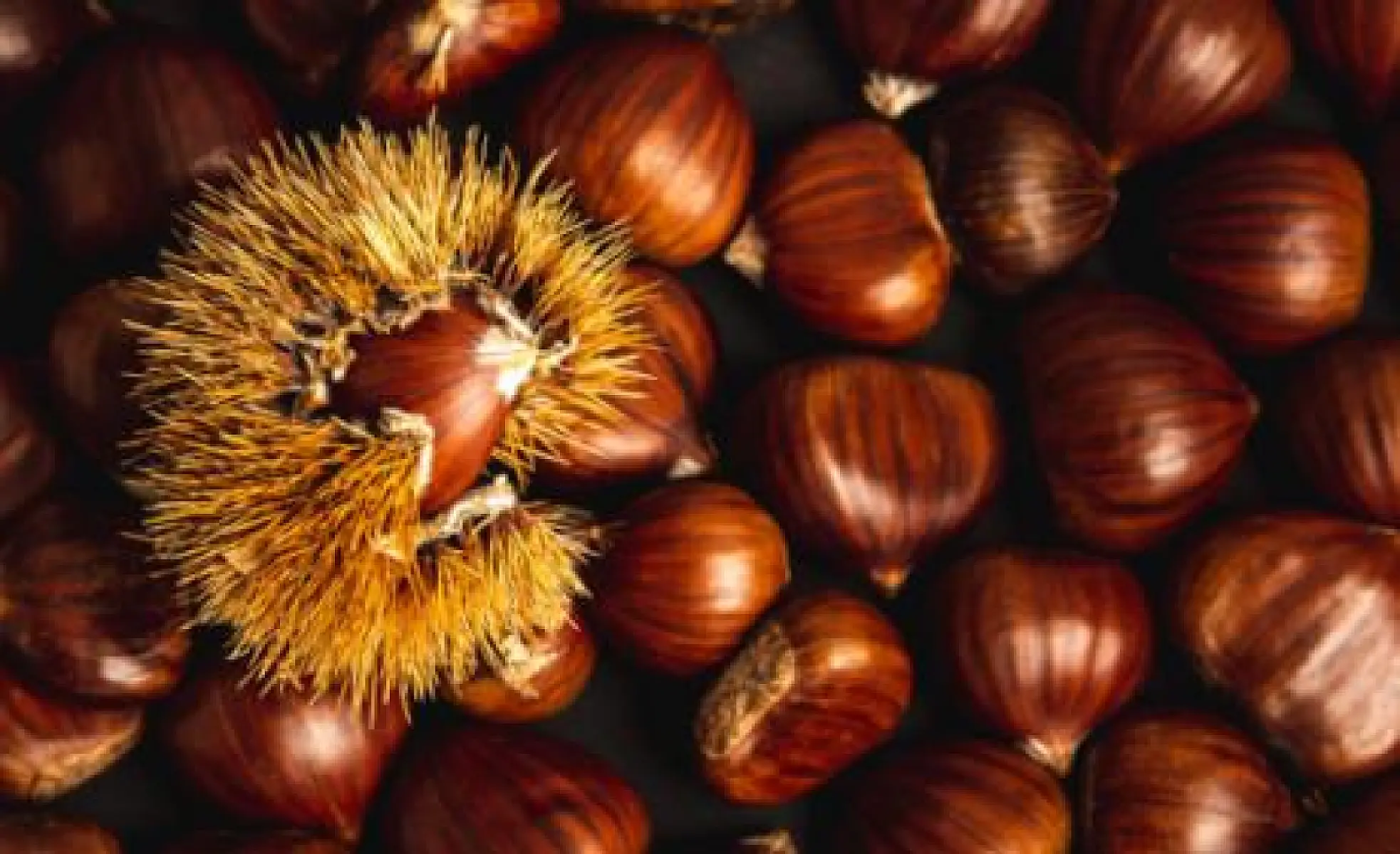 5 Health Benefits of Chestnuts