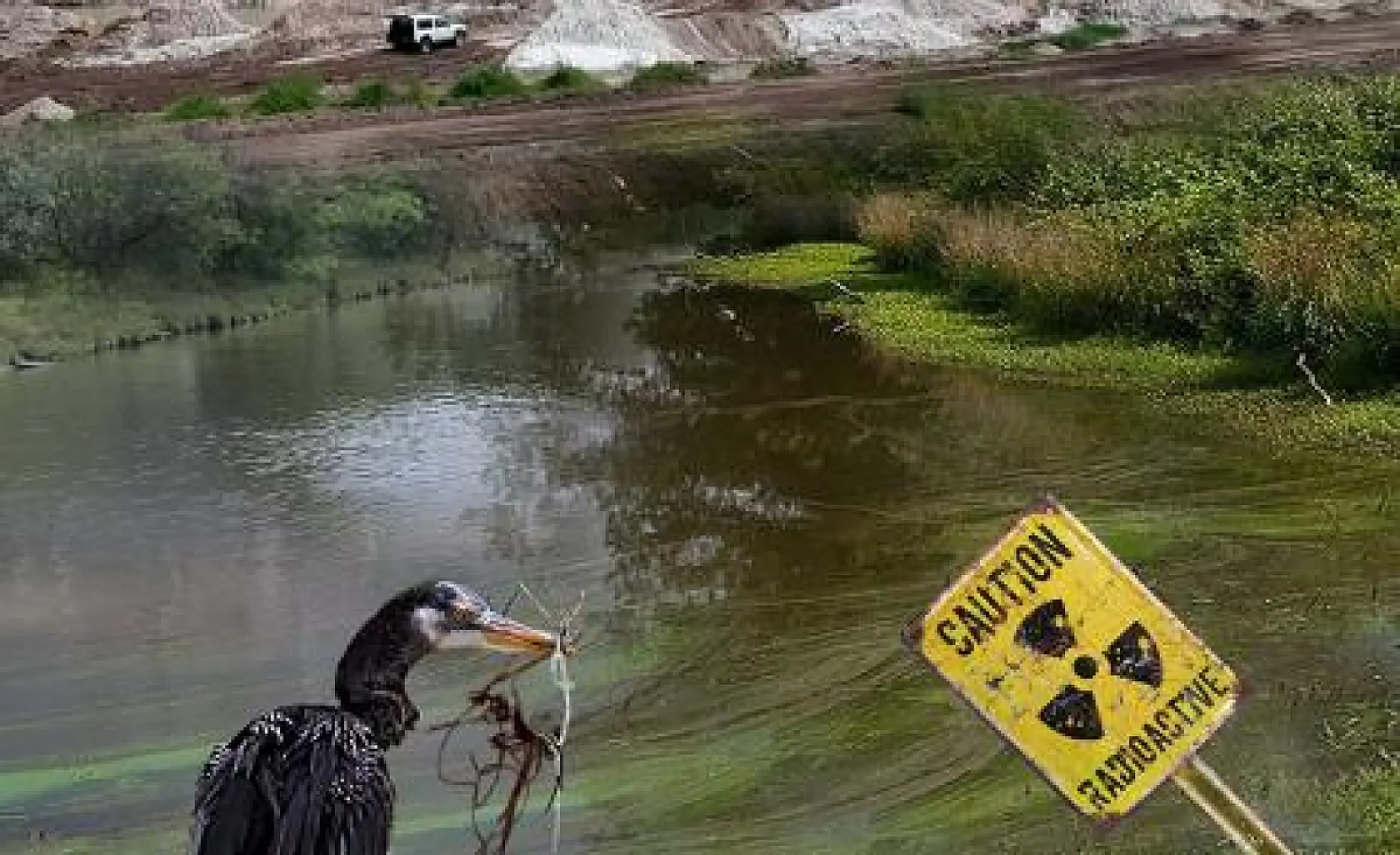 Explosive New Documentary on Florida's Darkest Environmental Secret: 'Phosfate'