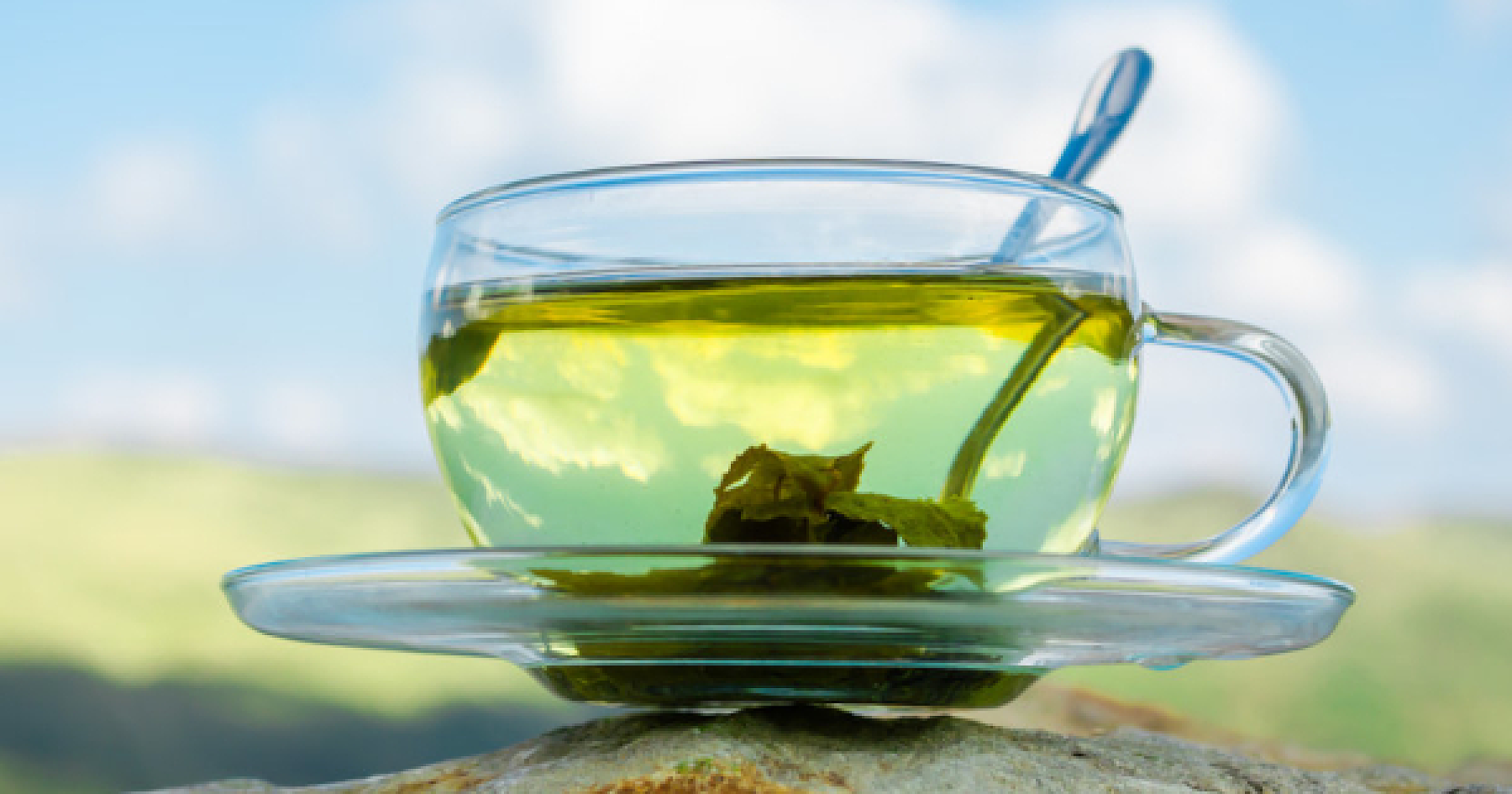 Five Natural Detoxifiers for a Healthy Year