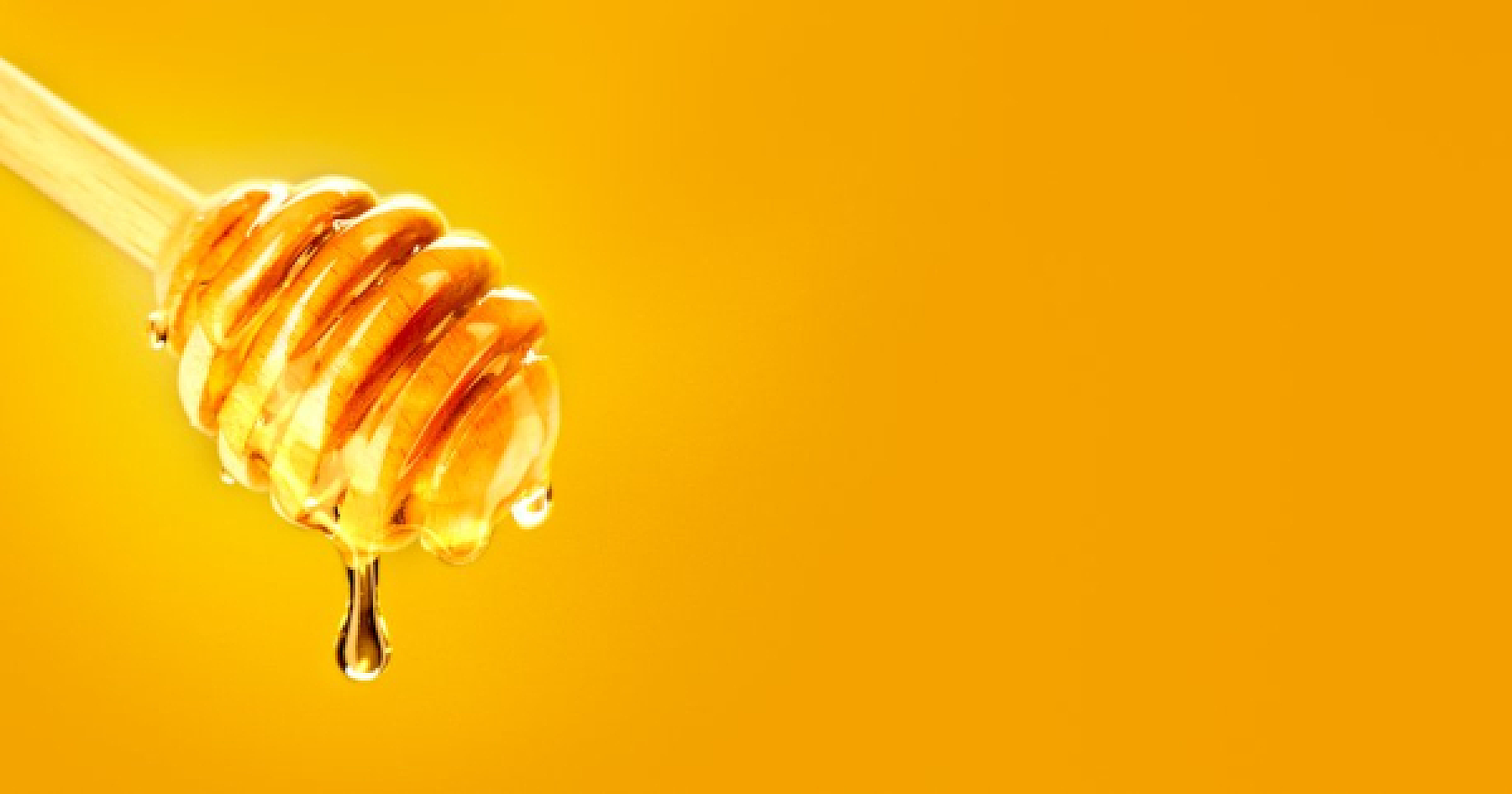 5 Reasons Honey Should Be in Your Medicine Chest