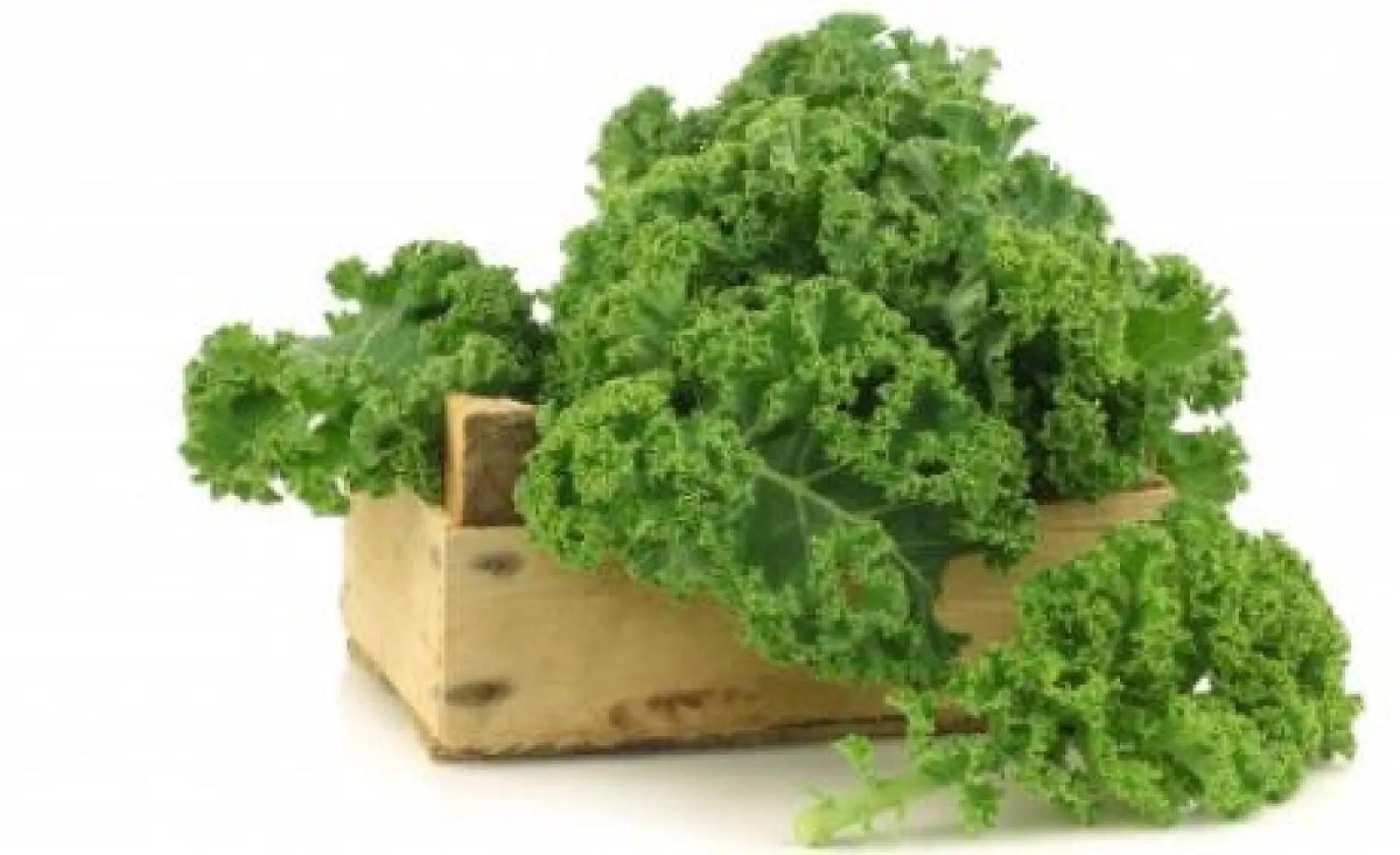 Crouching Garnish, Hidden SuperFood: The Secret Life of Kale