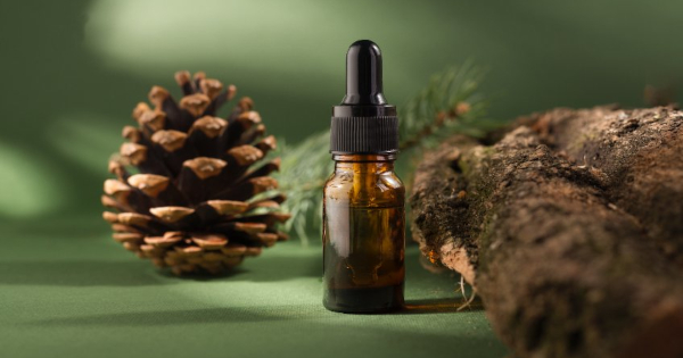 8 Benefits of Pine Bark Extract for Your Brain