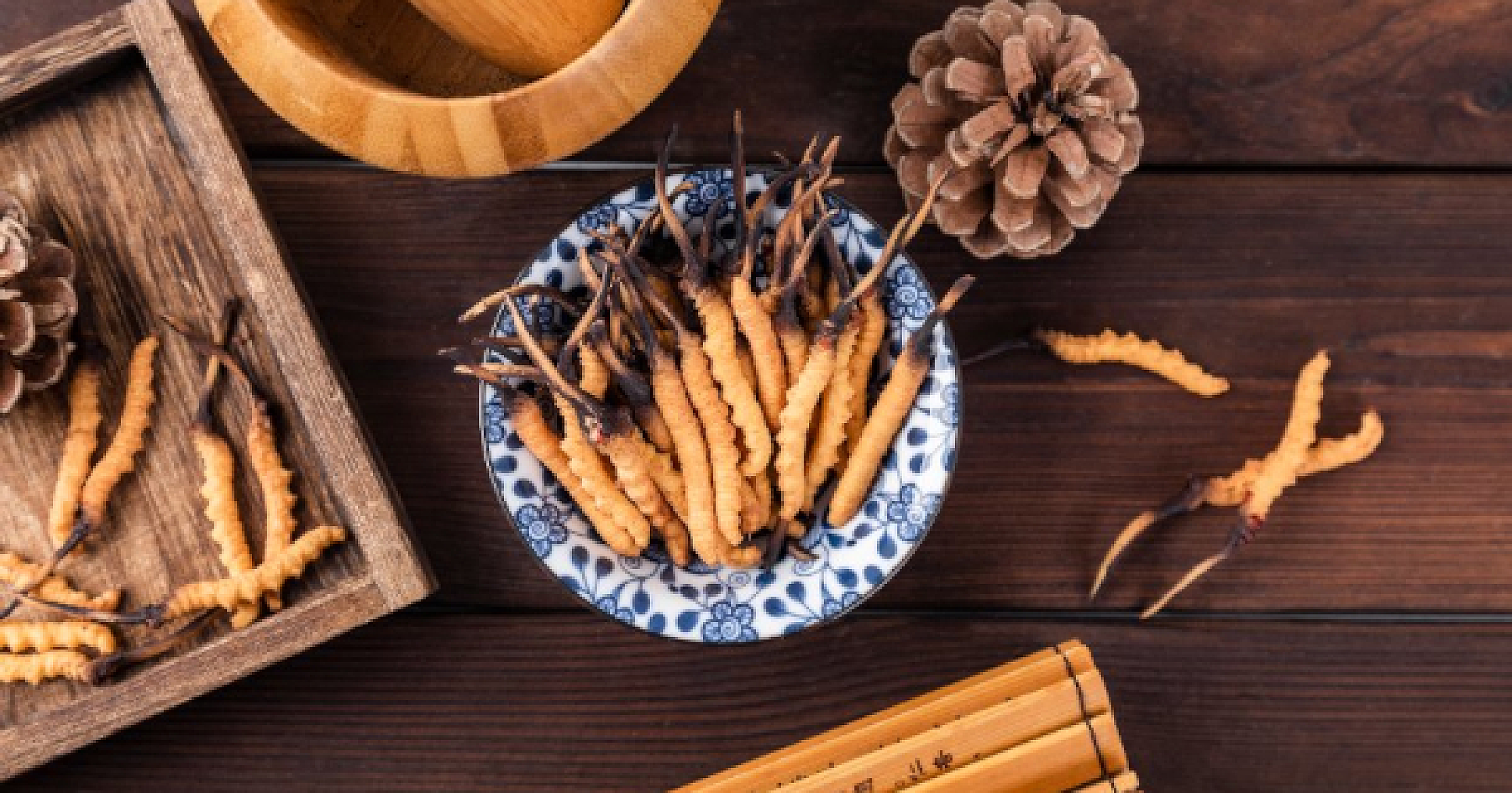 4 Top Uses for Cordyceps Sinensis: Caterpillar Fungus 