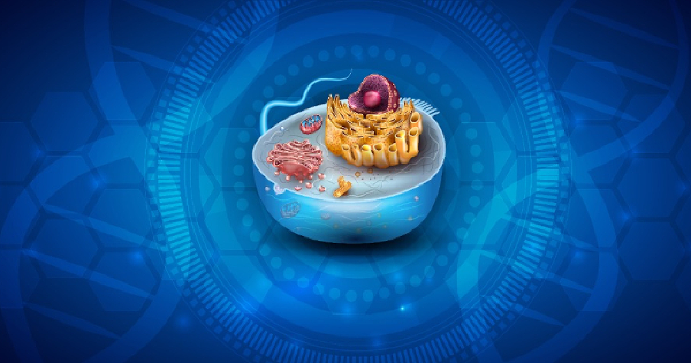 How the Body Harvests Nature’s Alternative Energy Sources to Power Cellular Pathways