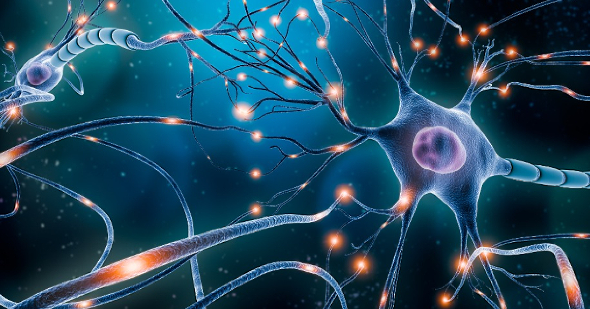 These 11 Natural Compounds Help Build New Brain Cells