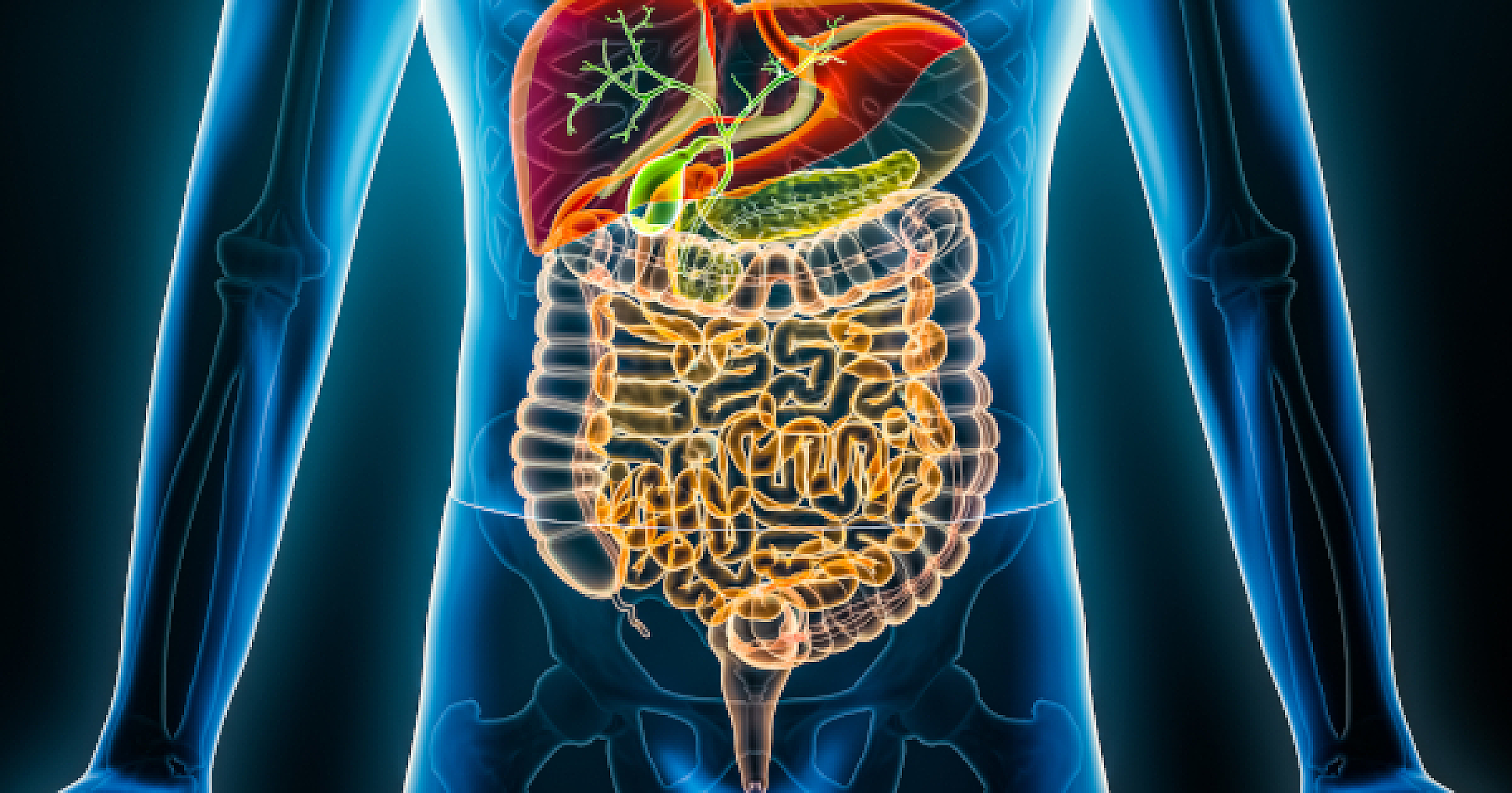 8 Top Gastrointestinal Agents for a Healthier Gut