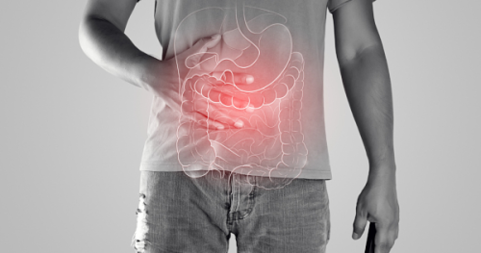 REVERSING METABOLIC DISEASE: Natural Remedies for Insulin Resistance, Belly Fat Accumulation, Dietary Hormone Disruptors