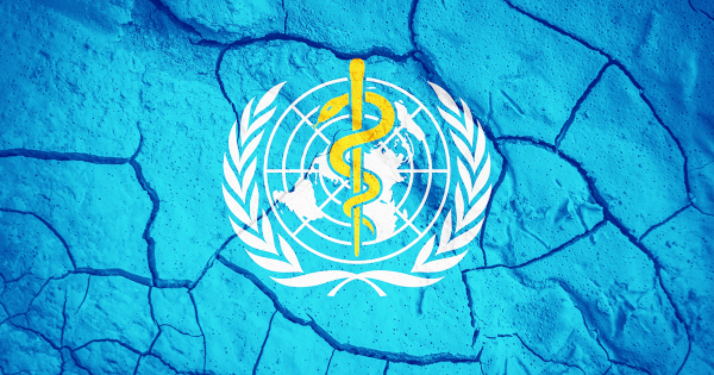 Get Your One Health Token From the World Health Organization
