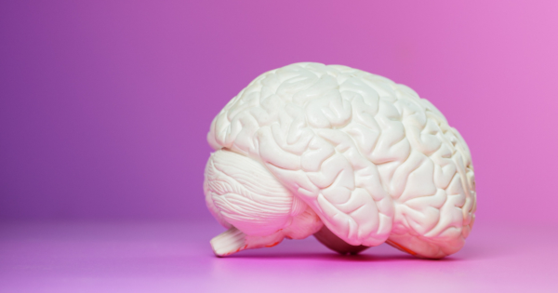 Most Dementia is Driven by Diet, Not Genes