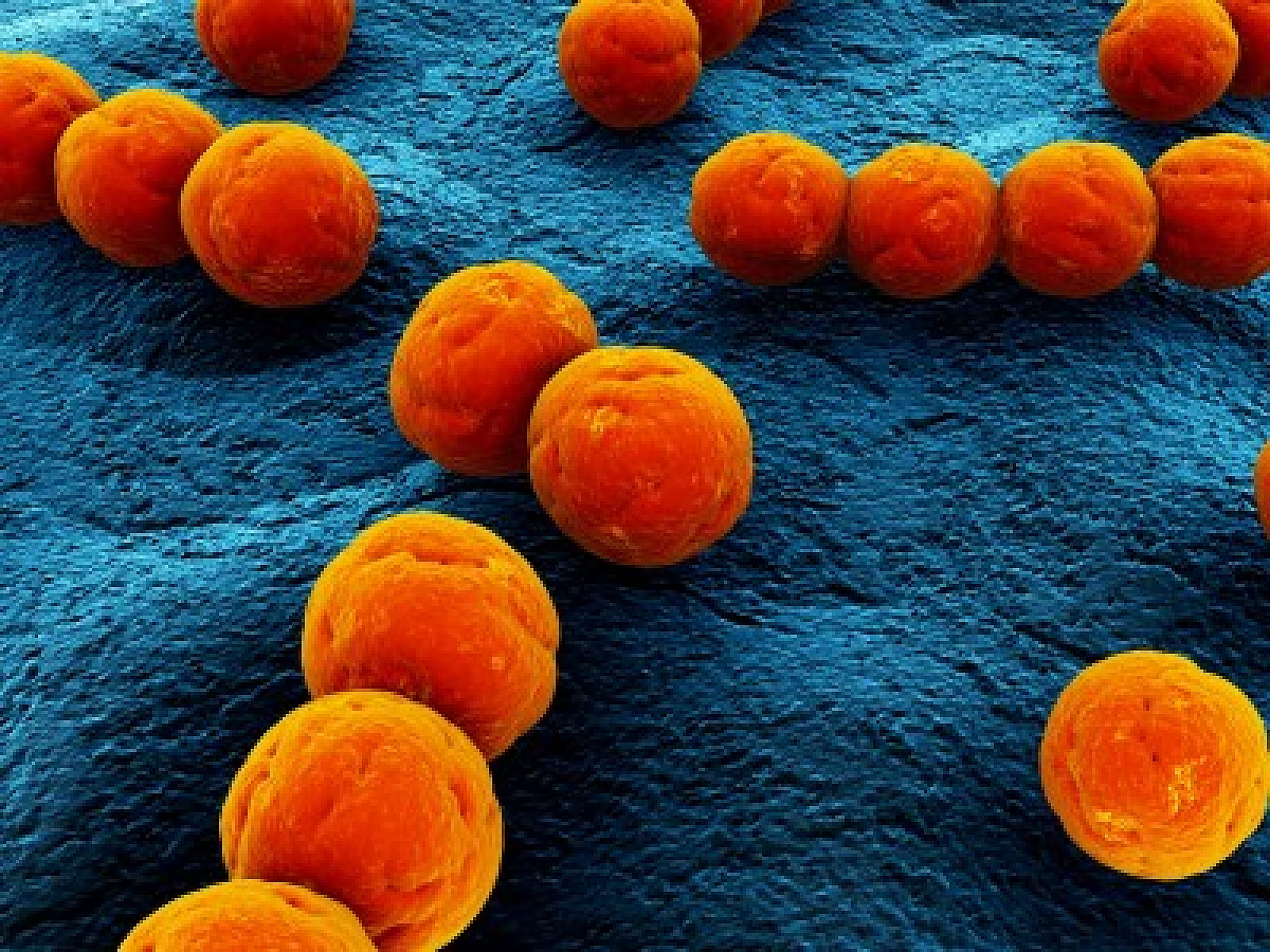 Roundup Herbicide Linked To Overgrowth of Deadly Bacteria