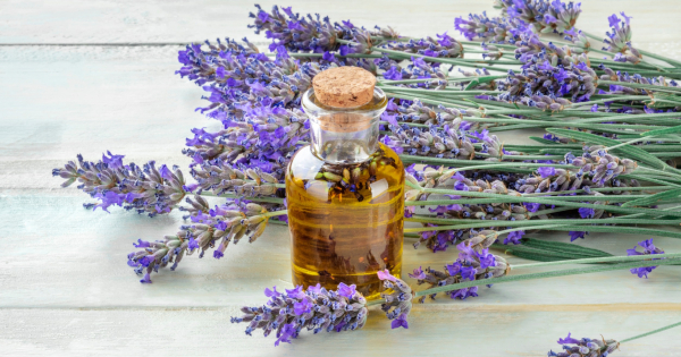 Lavender Oil Vs. Hair Growth Pharmaceutical: Which One Won?