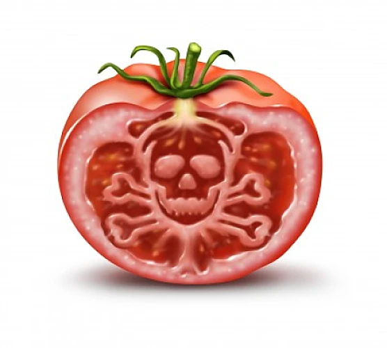 Human and Synthetic Hormones Now Contaminate Fresh Produce