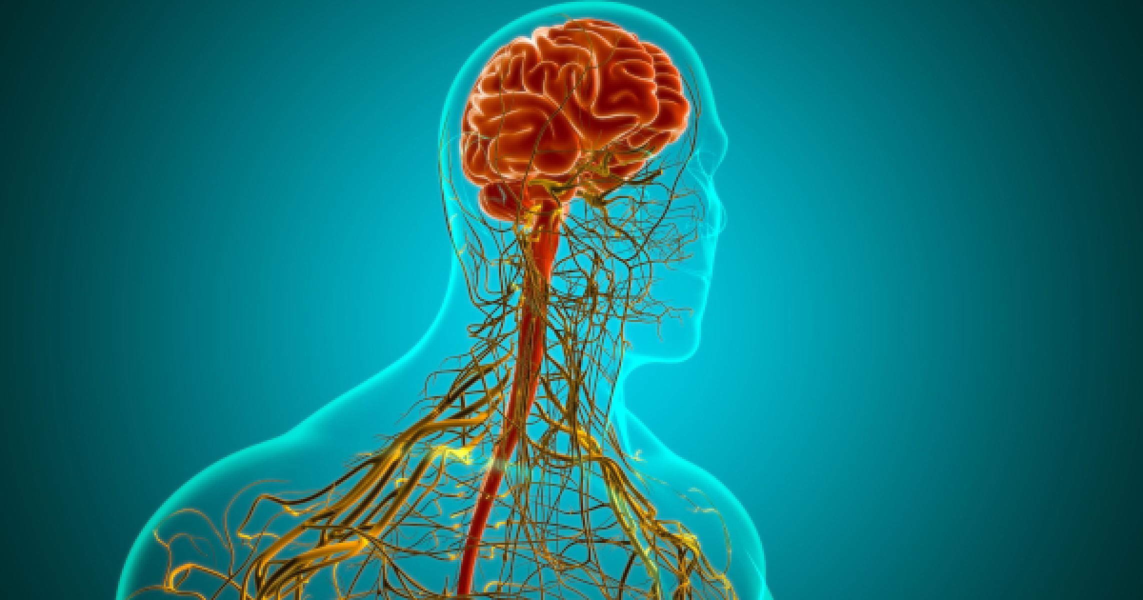 Beyond Clobazam: Exploring Safer Botanical Solutions for Seizures
