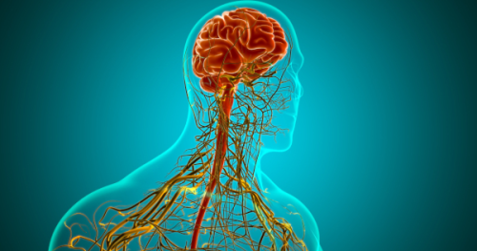 Beyond Clobazam: Exploring Safer Botanical Solutions for Seizures