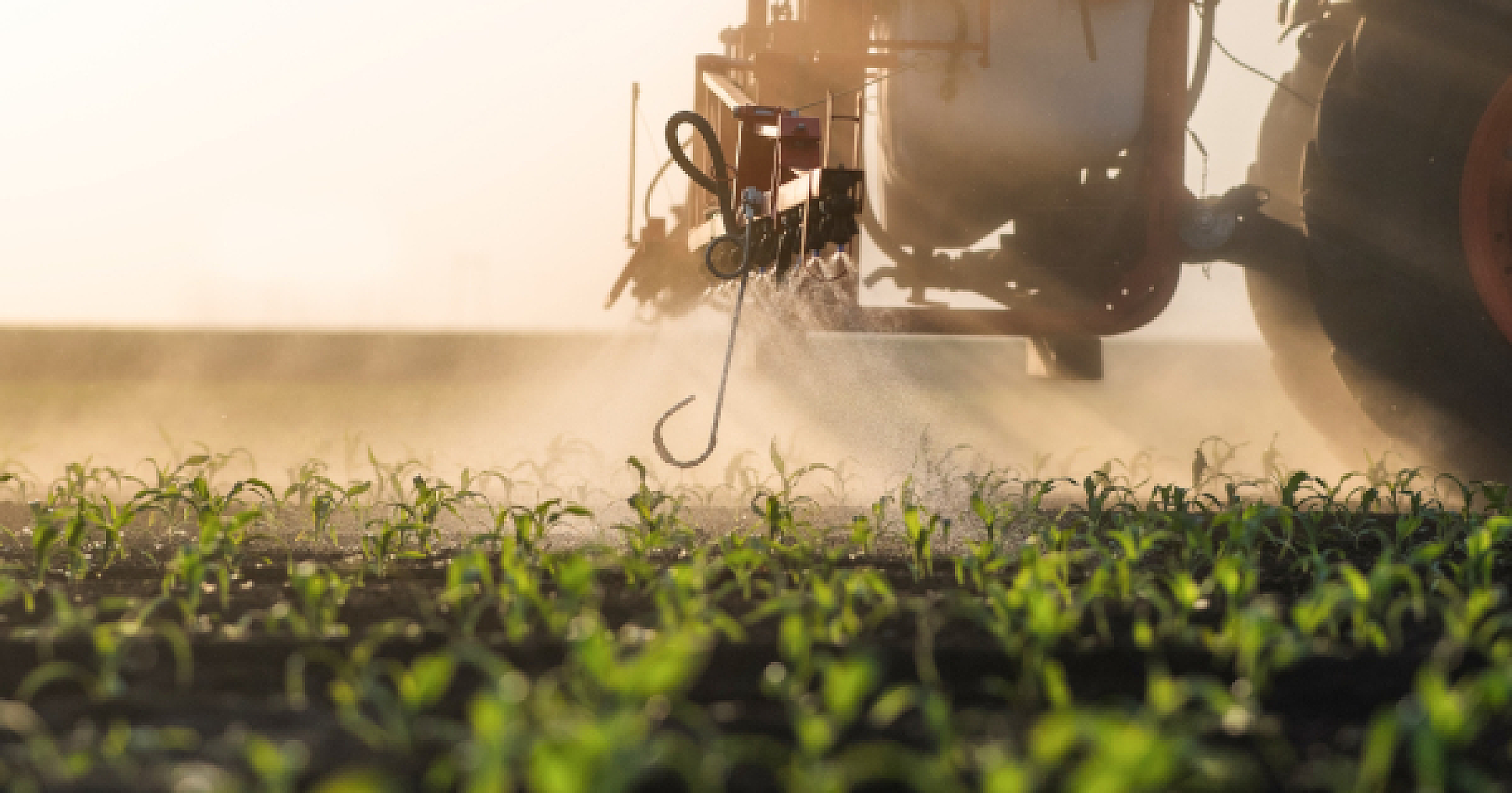 Expert US Groups Launch Legal Action in Attempt to Ban Glyphosate Herbicides