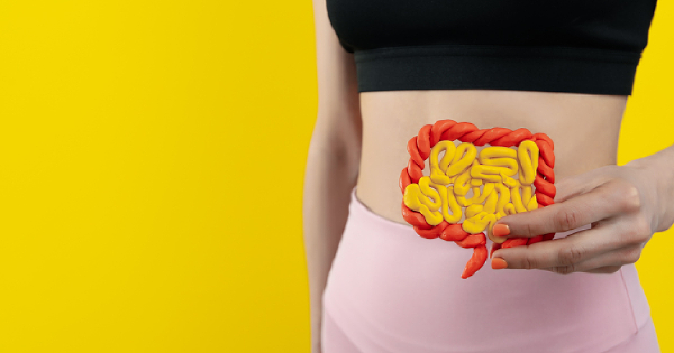 Less Bloating, Better Nutrient Absorption - The Overlooked Digestive Perks of Glucosamine