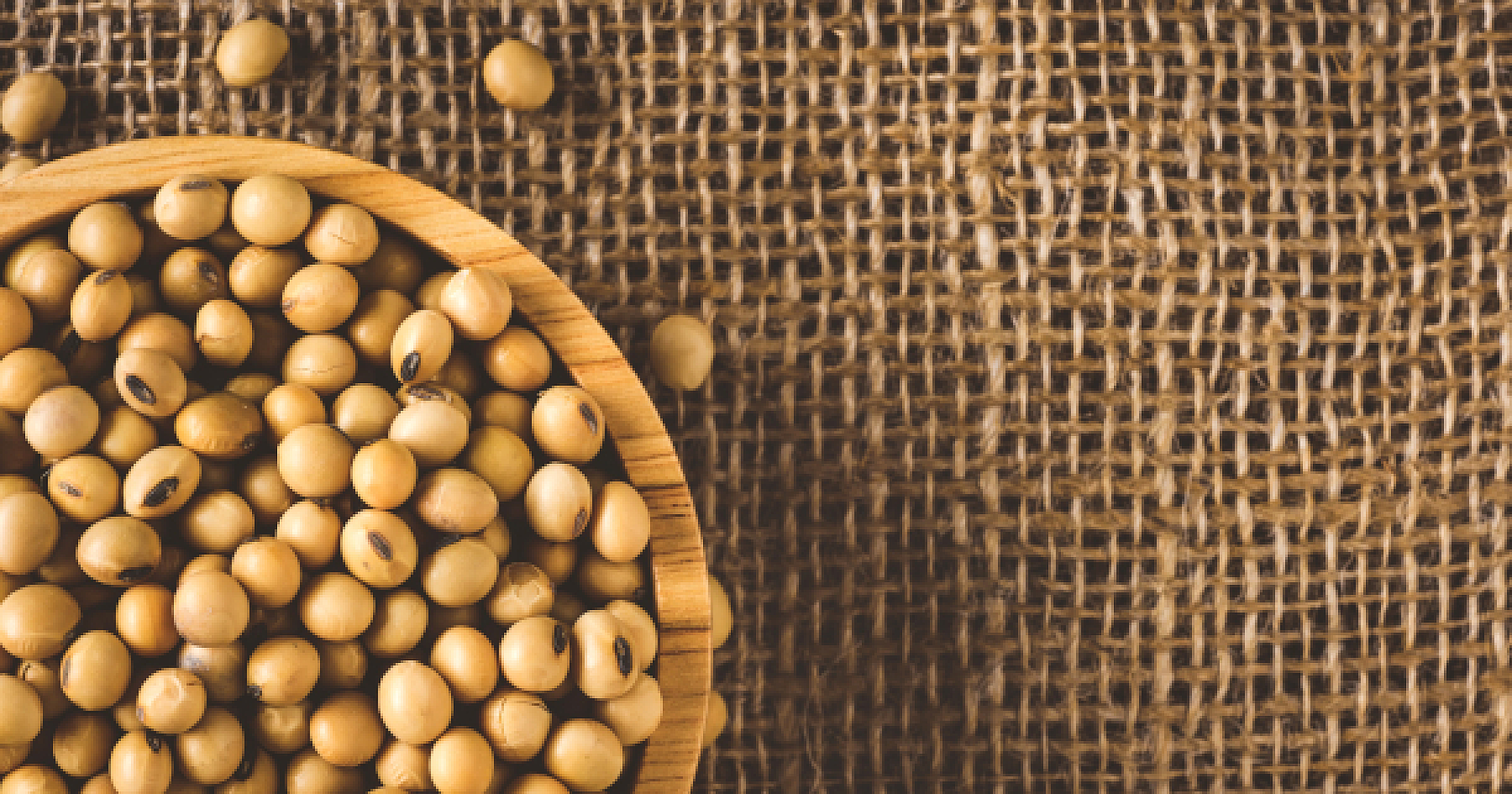 Phyto-Precision Medicine: Soy & Flax for Genetic Hormone Control