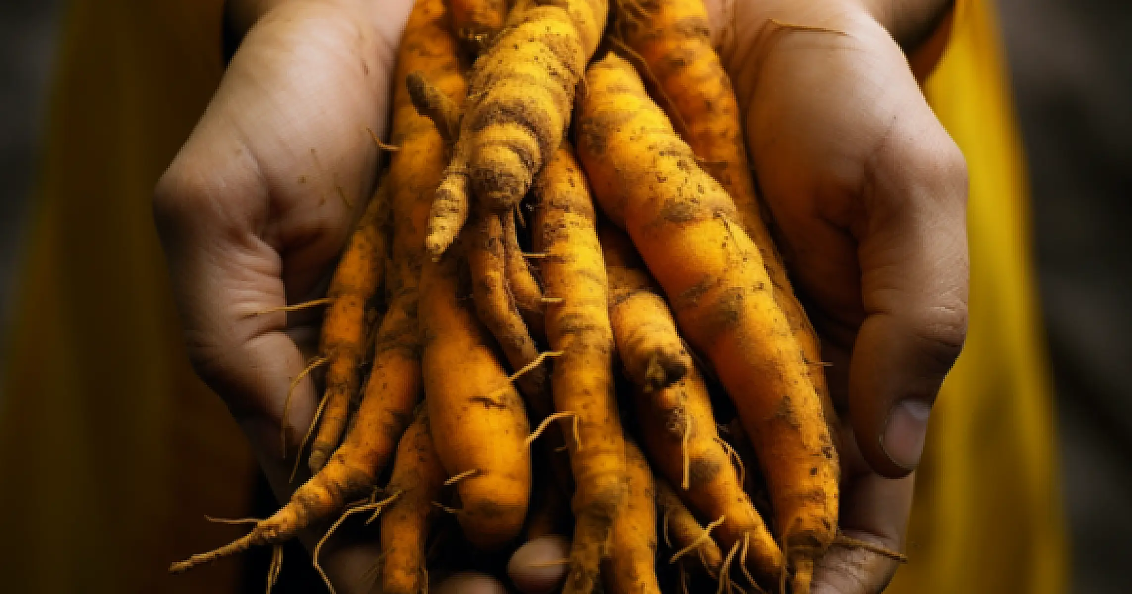 Curcumin Extract Matches Ibuprofen for Osteoarthritis Pain Without Lethal Toxicity