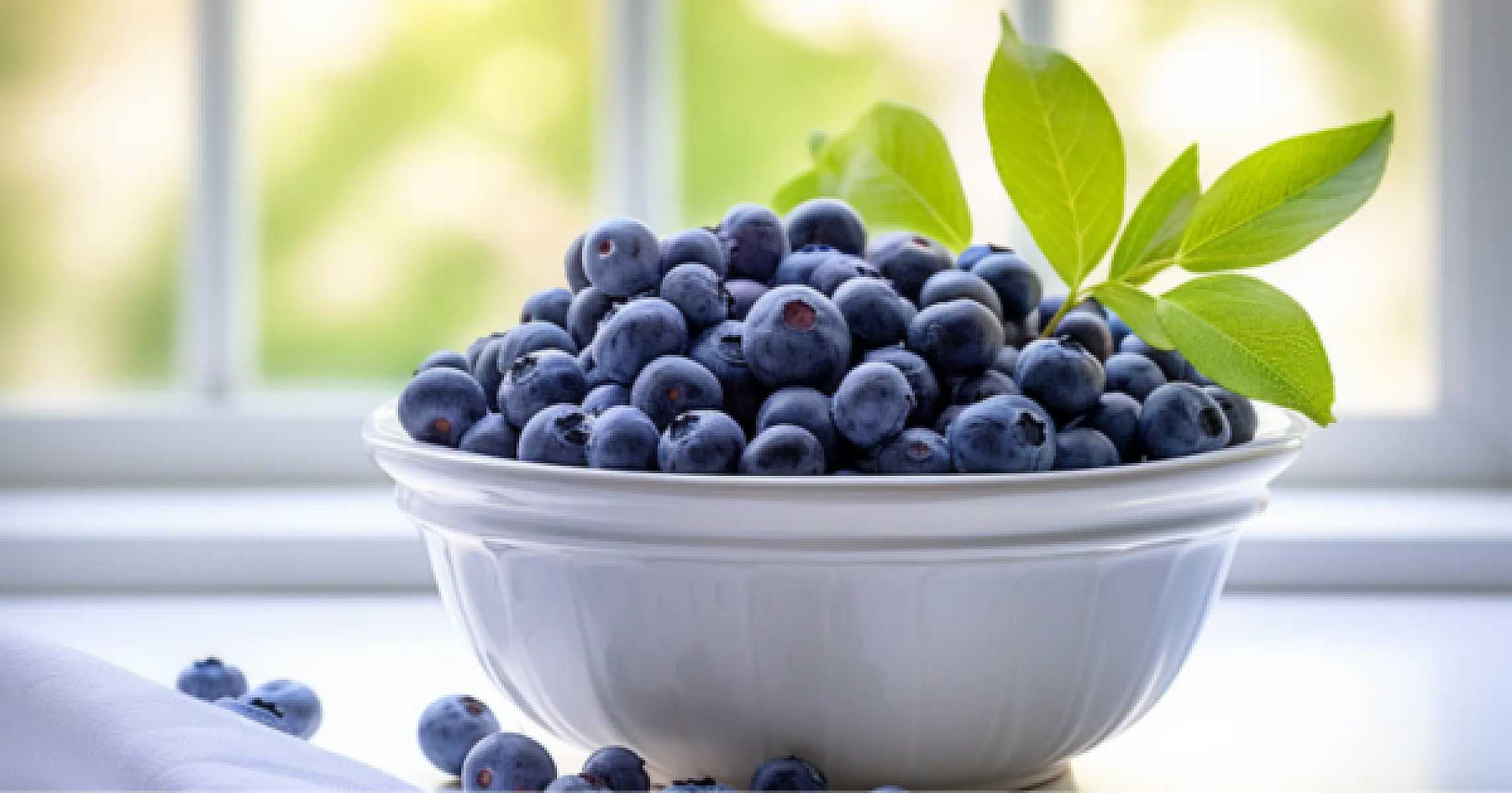 Blueberries Treat Widespread IBS Safely Where Drugs Fail