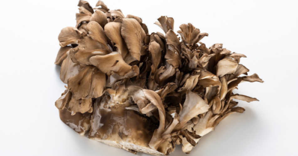 PCOS? How to Induce Ovulation Using 'Hen of the Woods'