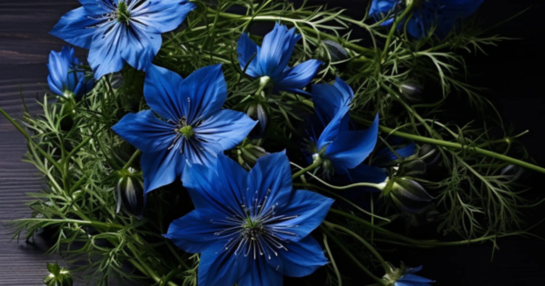 The Fight Against Fluoride Toxicity: Unveiling the Protective Power of Black Seed Oil