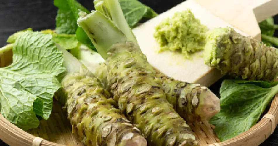 This Japanese Condiment Clinically Improves Memory: How Wasabi Protects Against Cognitive Decline