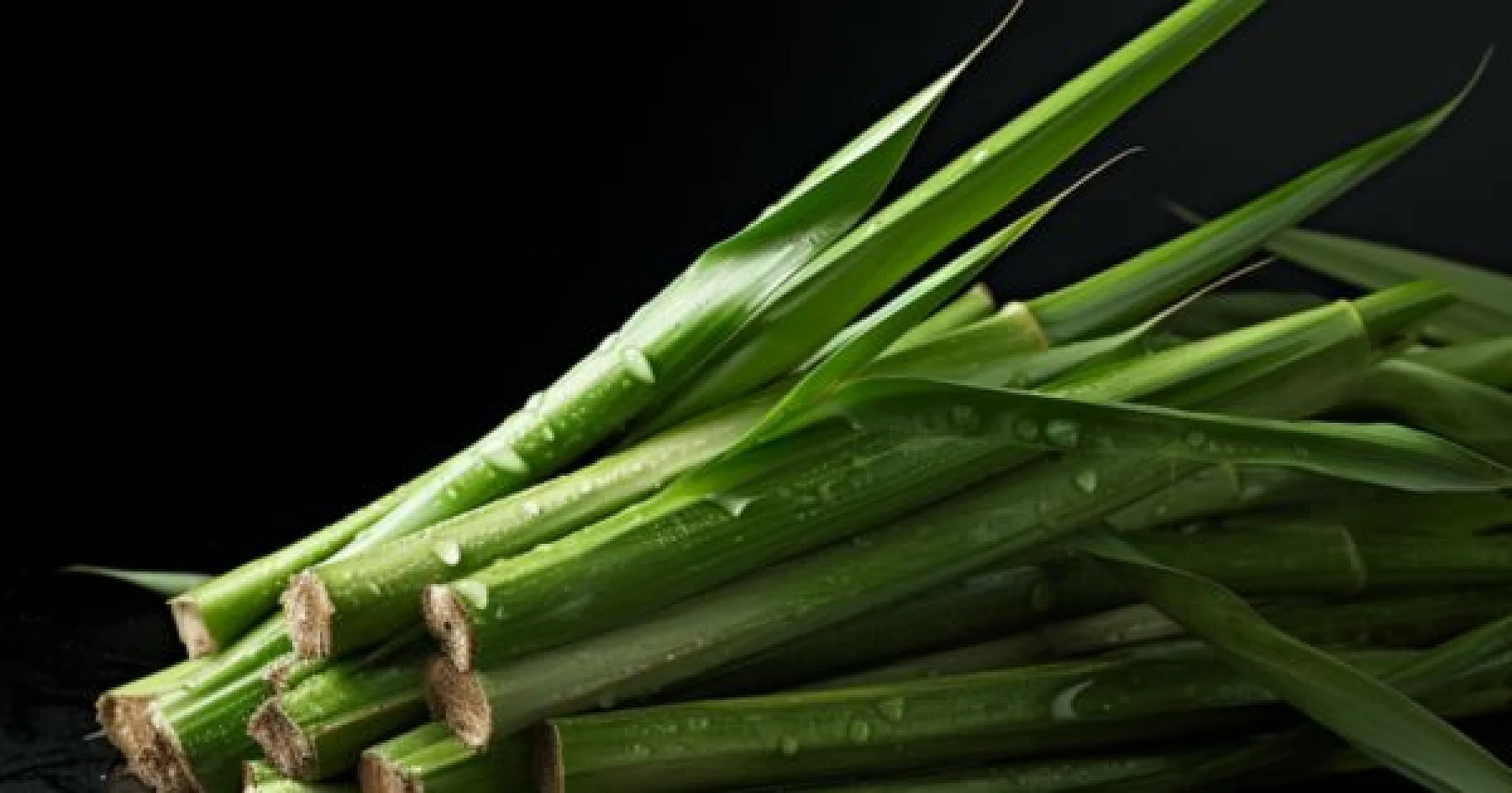Beyond Toxic Statins: Sugar Cane Extract Policosanol Offers New Hope for Heart Health