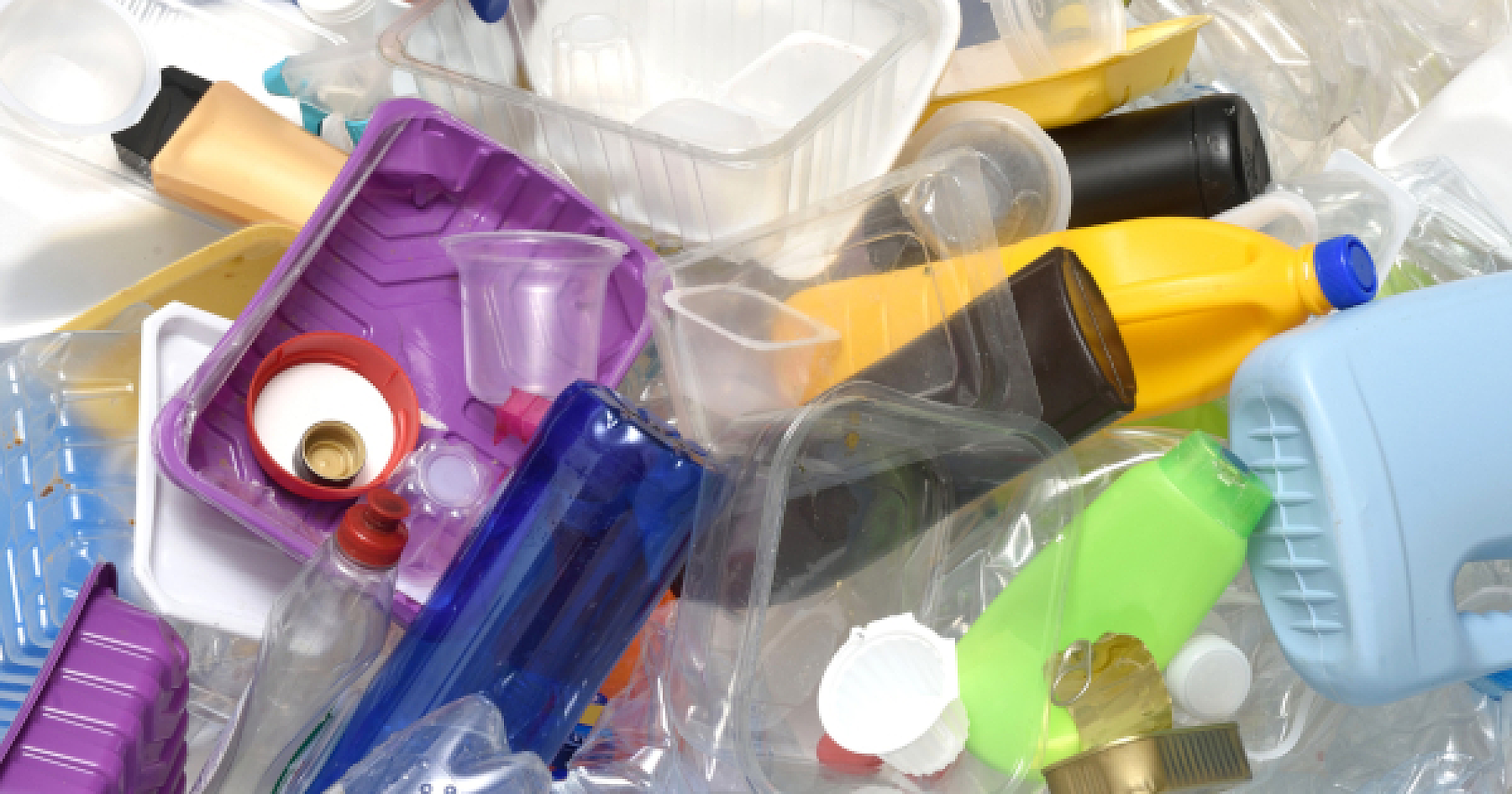 Scientists Discover Microplastics Within Donated Testes and Semen