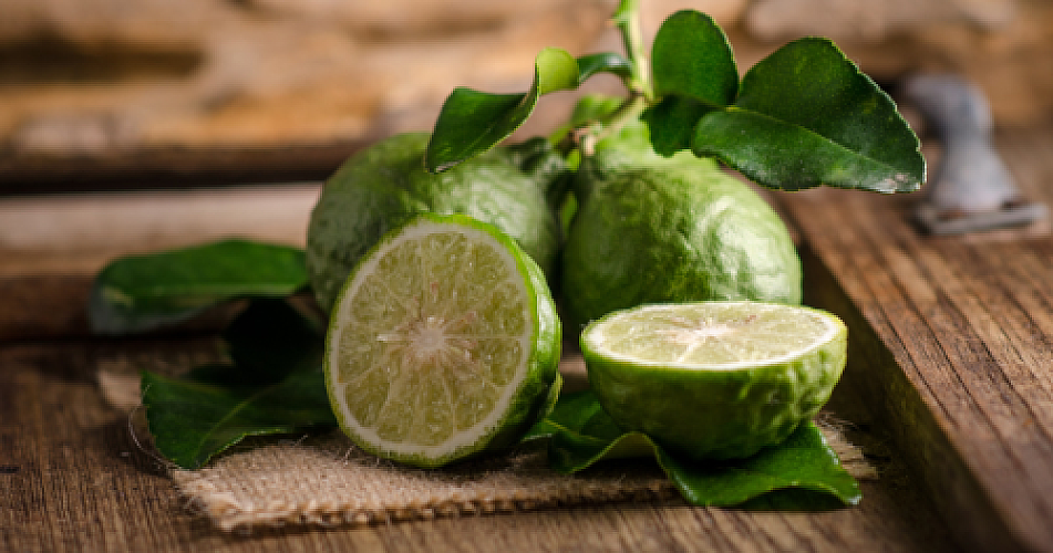 Citrus to the Rescue! Ancient Lime Peel Oil Stops "Nightmare Bacteria" When Modern Antibiotics Fail