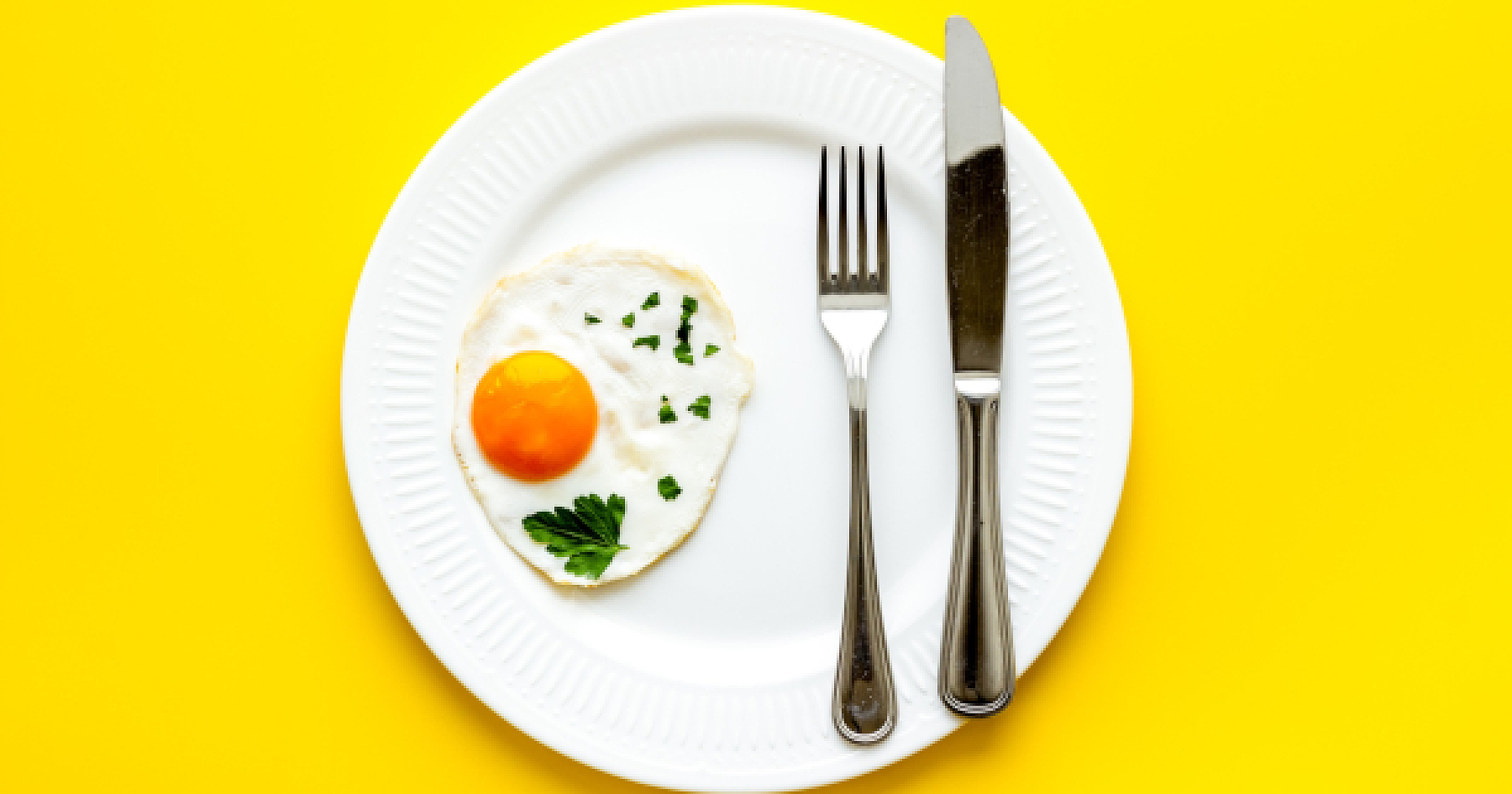 New Proof The Less You Eat, The Longer You Live