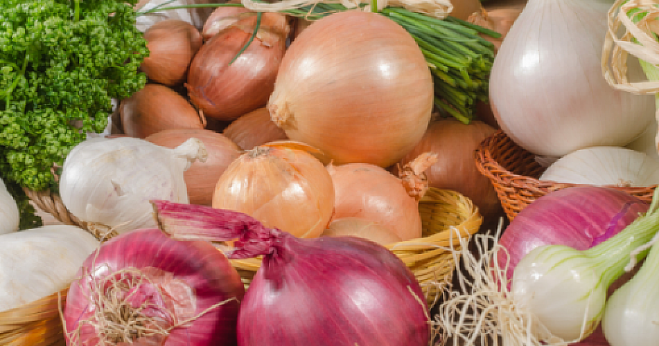 Raw Onions: Alleviating the Misery of Chemotherapy and More