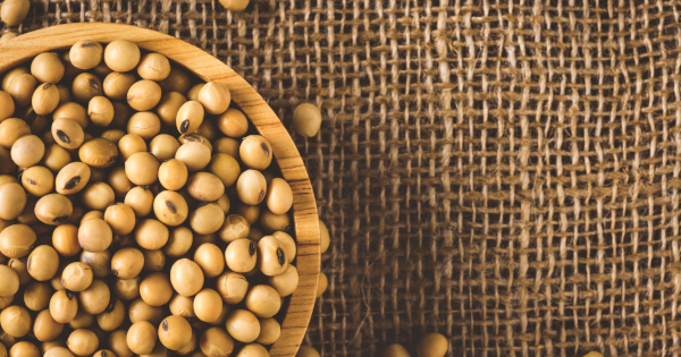 Rethinking Soy: Its Impact on Breast Cancer Risk and Survivorship