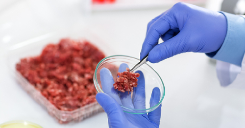 Frankenmeat: The Disturbing Reality of Lab-Grown Meat Production