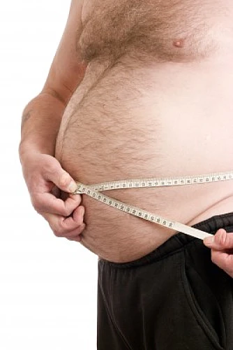 Wheat Gluten Newly Confirmed To Promote Weight Gain