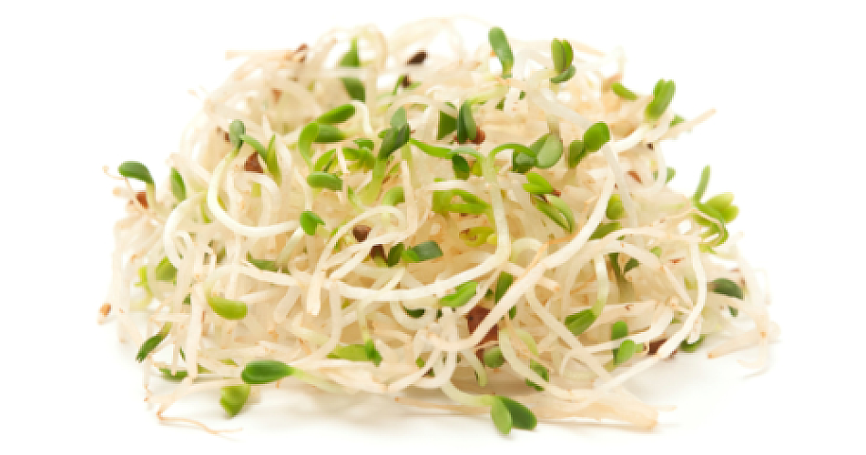 Could Ancient Herbal Remedy Boost Fertility? Alfalfa Seeds Show Promise