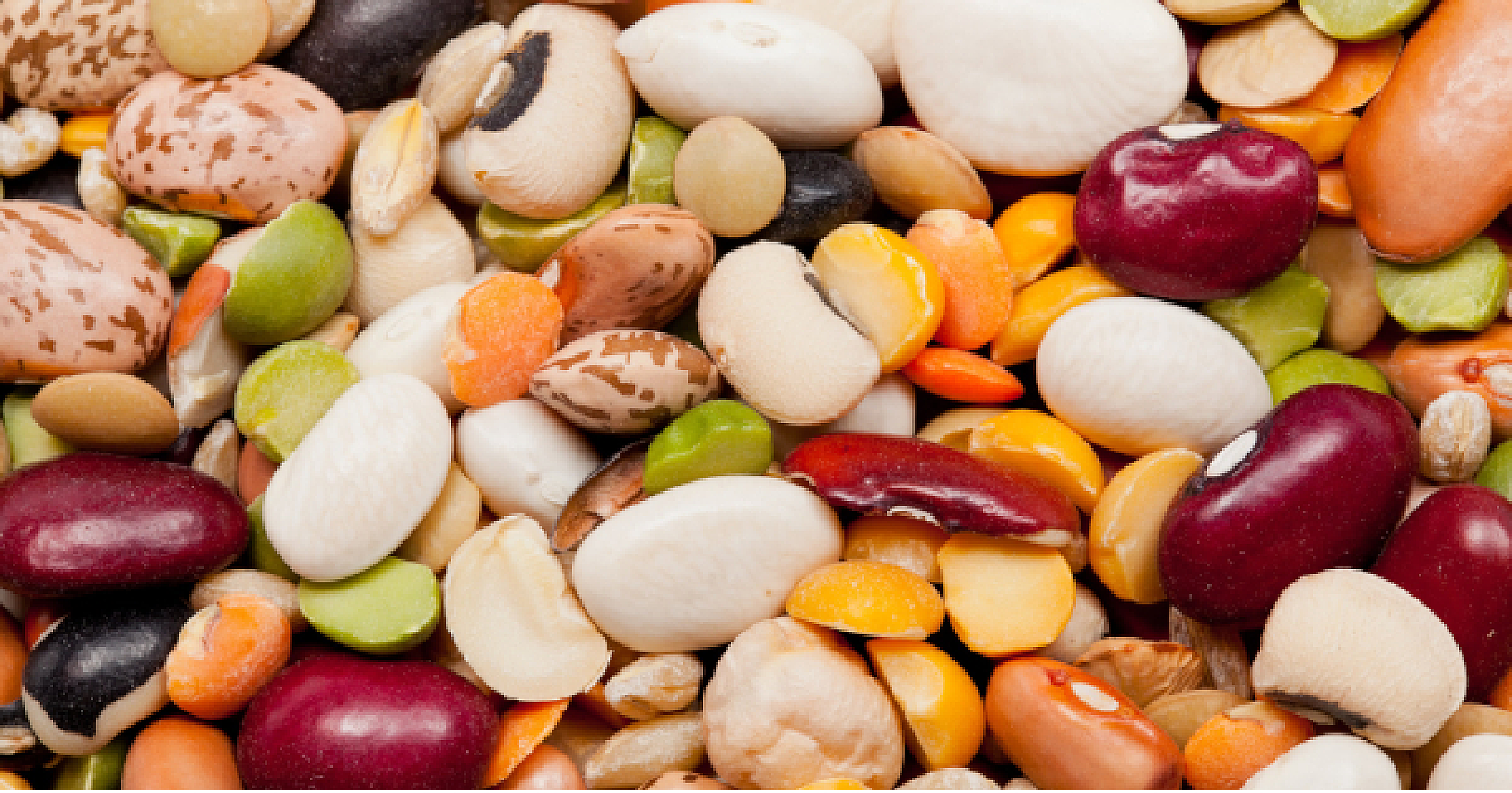 Single Serving of Beans Found to Boost Vascular Function
