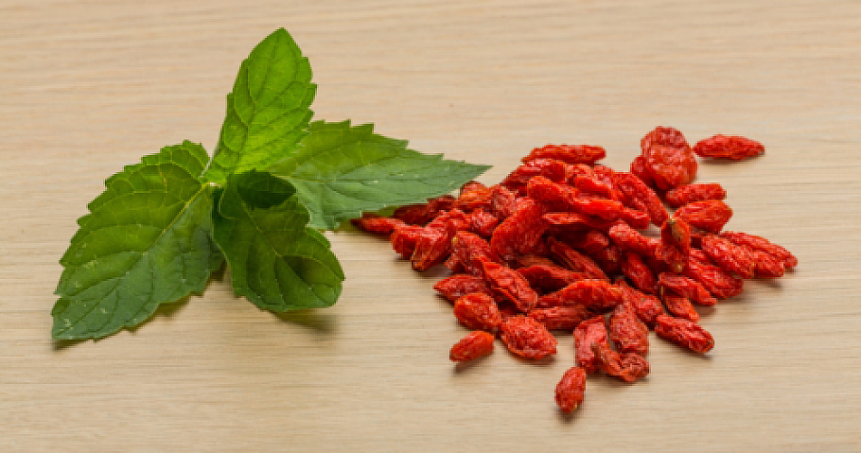 Berberine for Chemoprevention of Colon Polyps: A Randomized Placebo-Controlled Trial