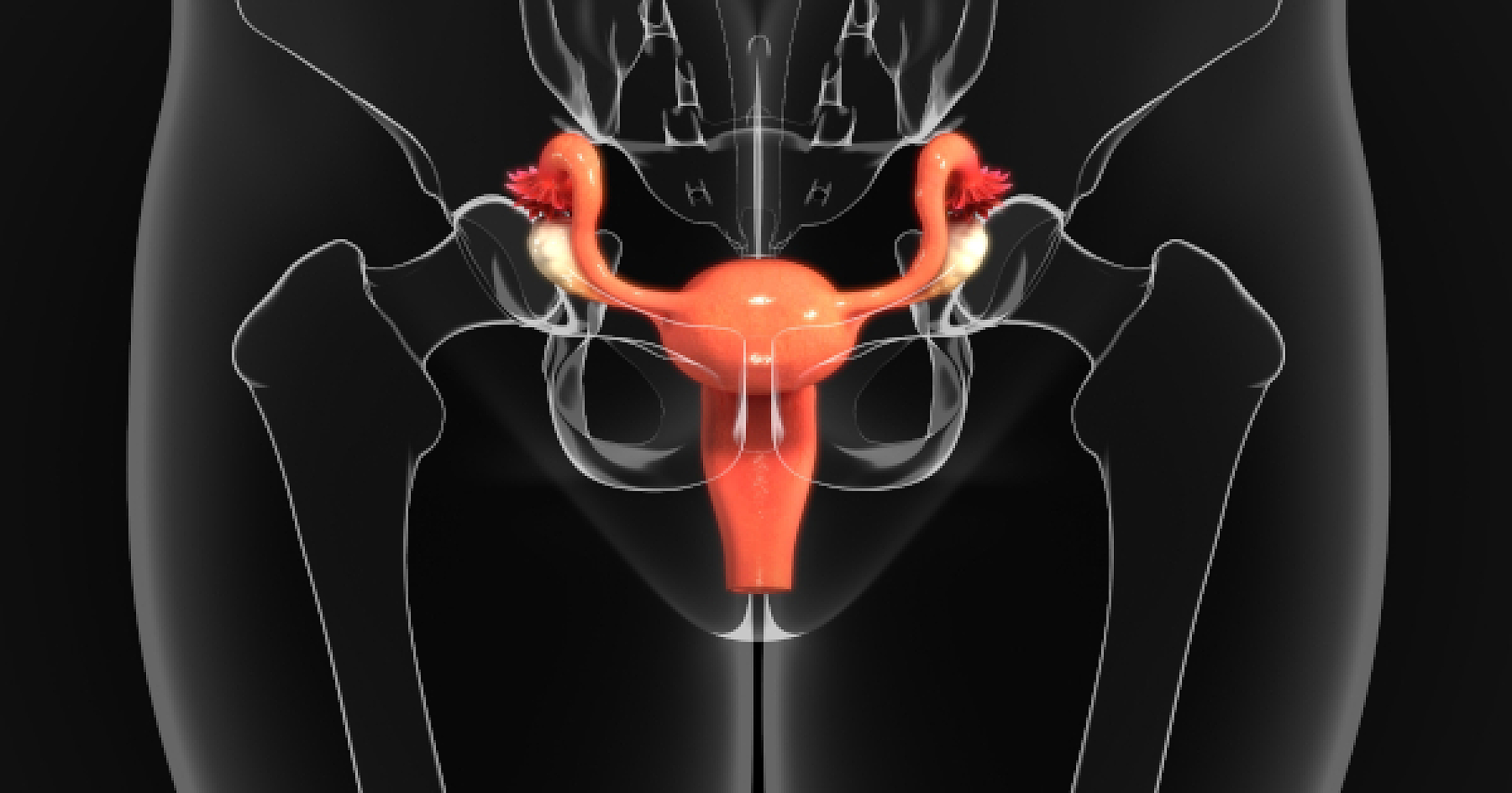 Beyond Drugs and Surgery: Exploring Complementary Options for Uterine Fibroids